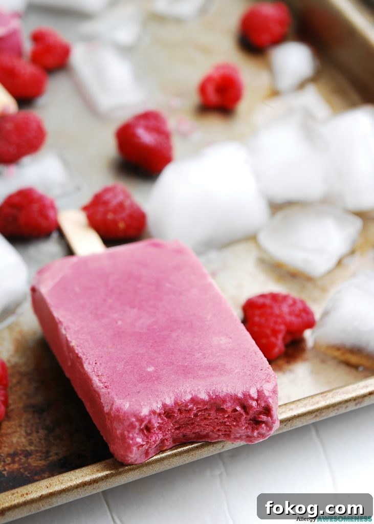 Vegan Raspberry Chocolate Protein Popsicles Recipe 2 img 2331 2