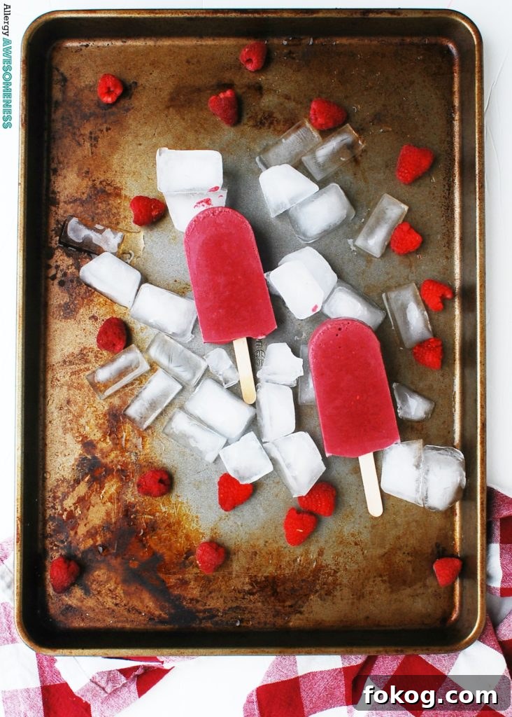 Vegan Raspberry Chocolate Protein Popsicles Recipe 3 Vegan Raspberry Chocolate Popsicles Recipe by AllergyAwesomeness