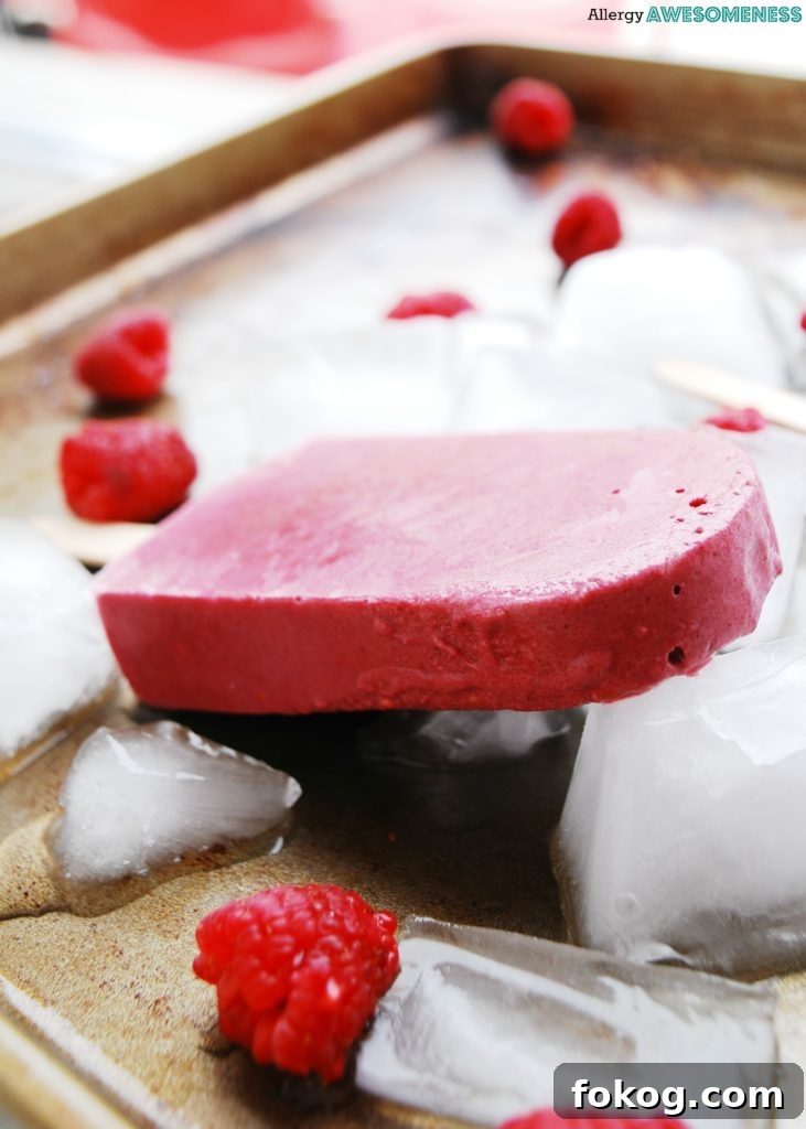 Vegan Raspberry Chocolate Protein Popsicles Recipe 4 Dairy-free Raspberry Chocolate Protein Popsicles Recipe