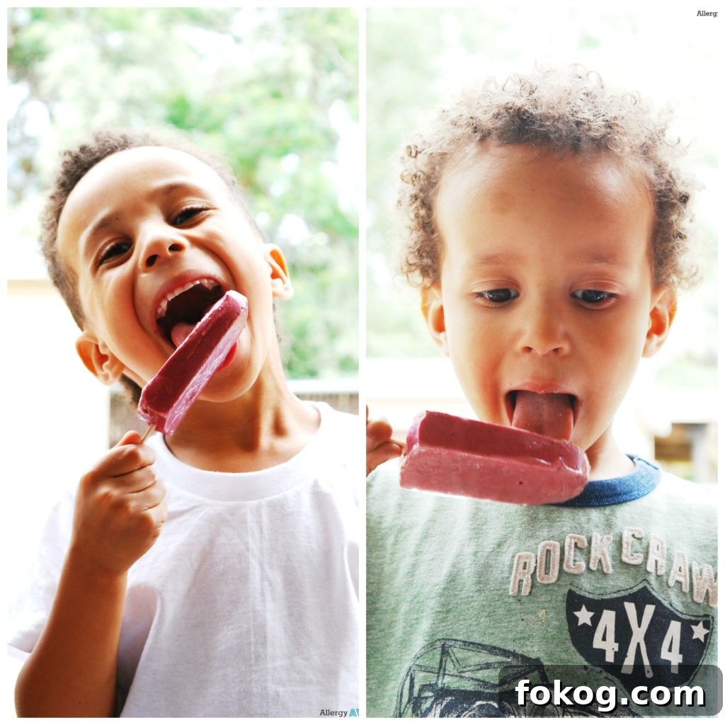 Vegan Raspberry Chocolate Protein Popsicles Recipe 5 Protein Popsicle Your Kids Will Love by AllergyAwesomeness