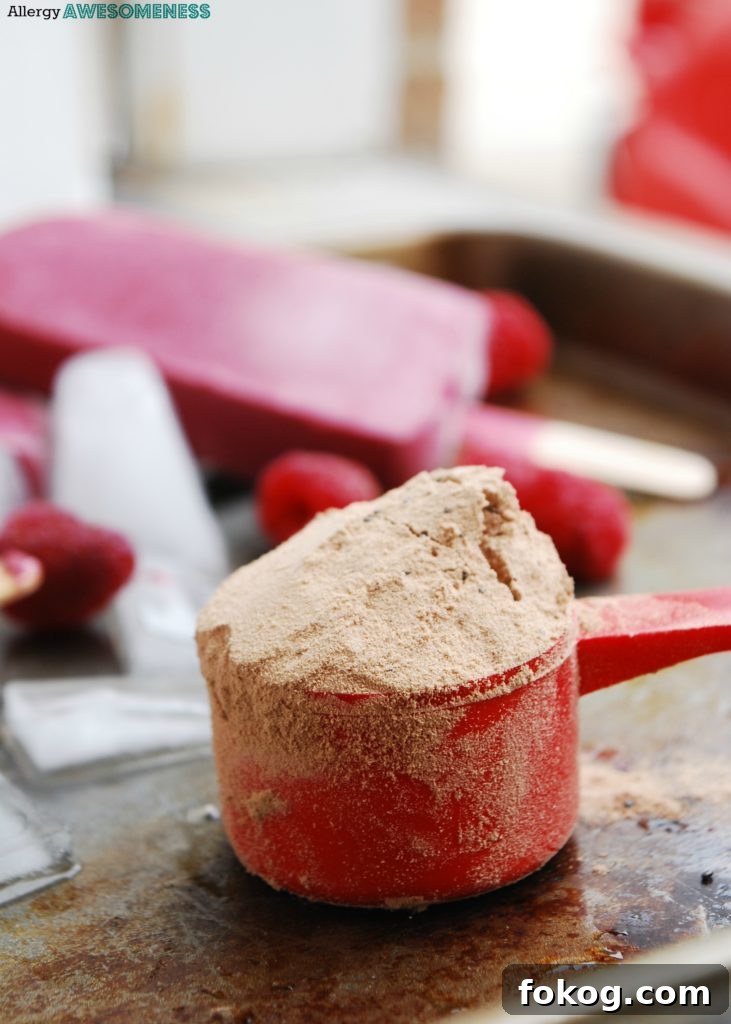 Vegan Raspberry Chocolate Protein Popsicles Recipe 6 Bob's Red Mill Chocolate Protein Powder