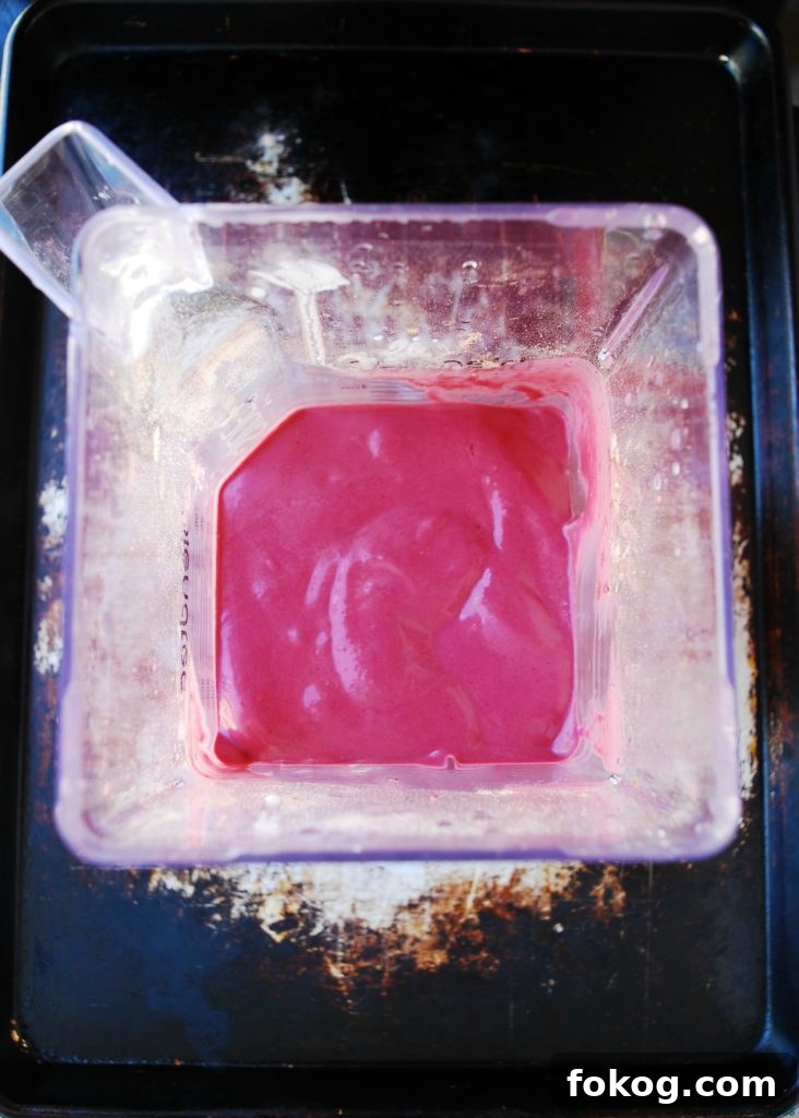 Vegan Raspberry Chocolate Protein Popsicles Recipe 7 Raspberry Chocolate Popsicles Made in your Blender