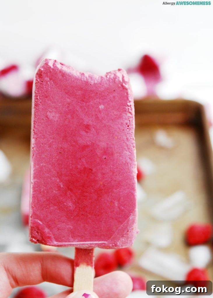 Vegan Raspberry Chocolate Protein Popsicles Recipe 9 Allergy-friendly Raspberry Chocolate Popsicles