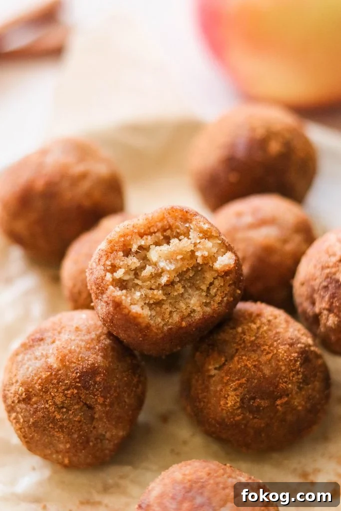 No-Bake Paleo and Vegan Apple Cinnamon Donut Holes 2 apple cinnamon donut holes on a plate with a bite taken out of one
