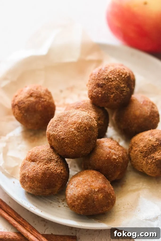 No-Bake Paleo and Vegan Apple Cinnamon Donut Holes 6 no bake apple donuts in munchkin form