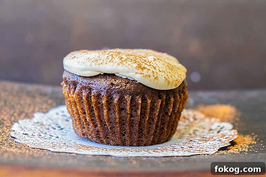 chocolate and coffee cupcake topped with coffe frosting dusted with cocoa powder on a plate, grain free
