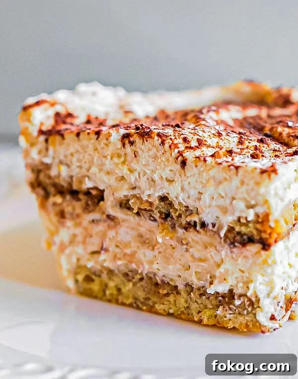 slice of gluten-free tiramisu cake with layers of lady fingers, mascarpone and dusting of cocoa powder