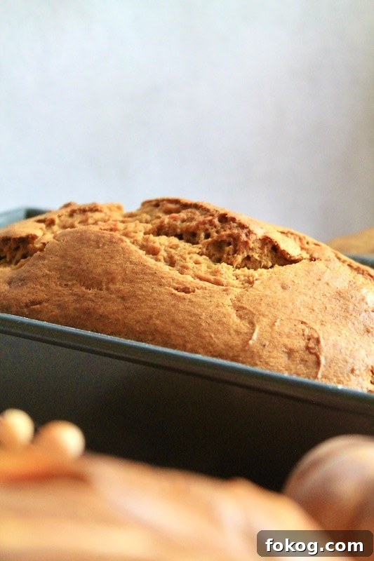 Fall Spice Pumpkin Bread Made with Libby’s Pumpkin Purée 13 let cool for 10 to 15 minutes