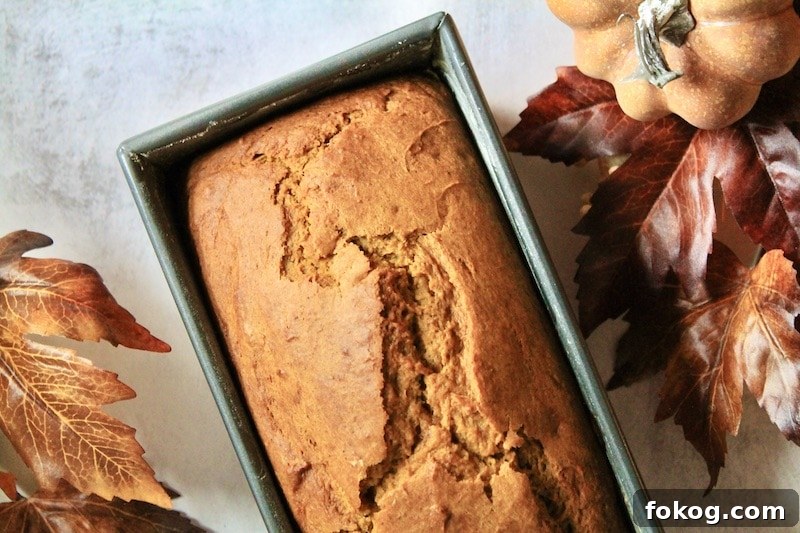 Fall Spice Pumpkin Bread Made with Libby’s Pumpkin Purée 5 libby's pumpkin bread