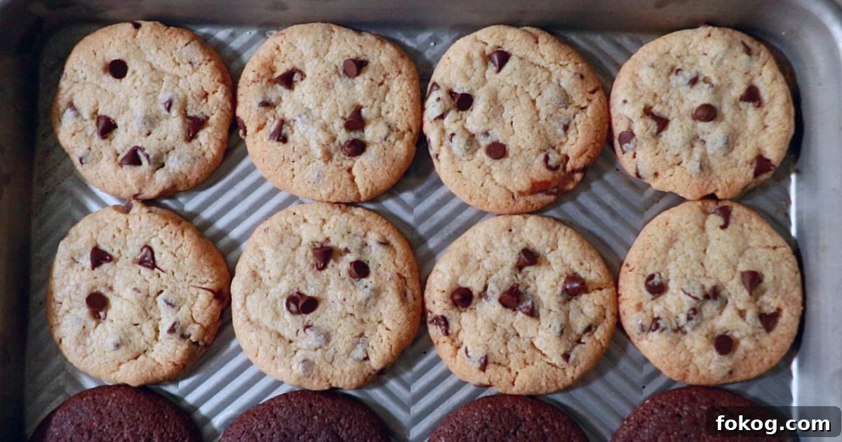 mini chocolate chip cookies