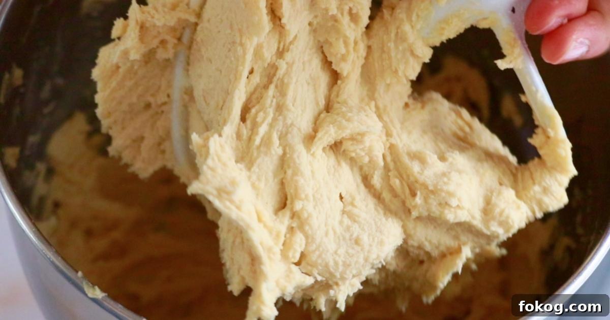 a close-up of butter cookie dough