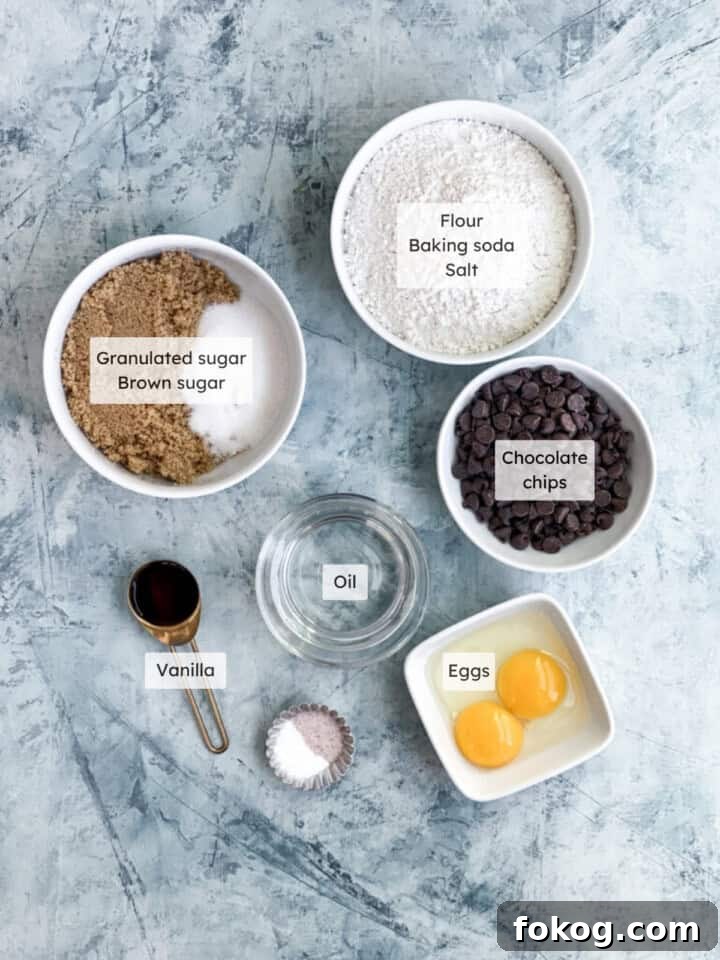 All the ingredients needed to make chocolate chip cookies without butter.