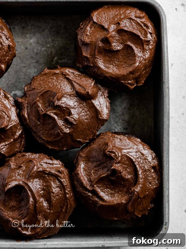 Overhead image of small batch chocolate cupcakes in vintage metal baking tin.