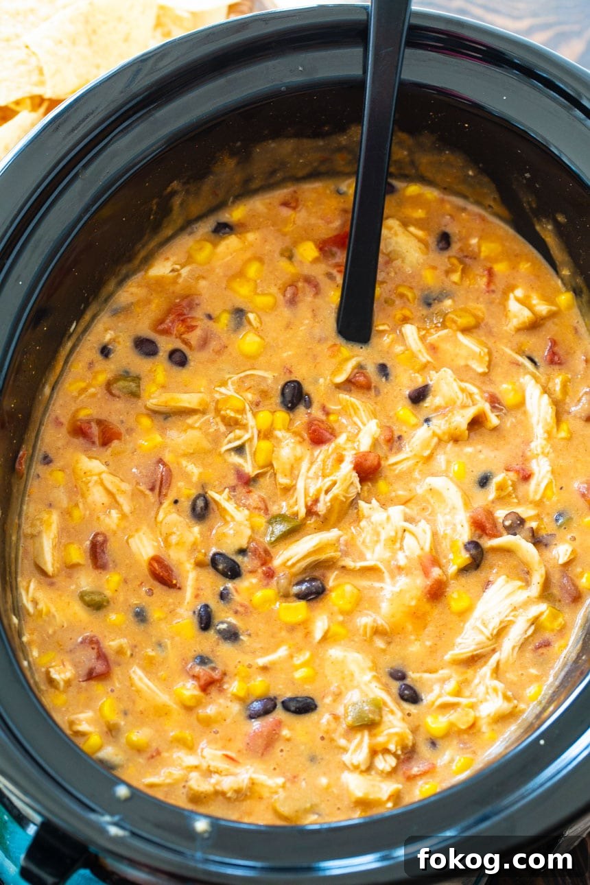 Slow Cooker Chicken Tortilla Soup Recipe for Busy Weeknights 3 Slow Cooker Chicken Tortilla Soup