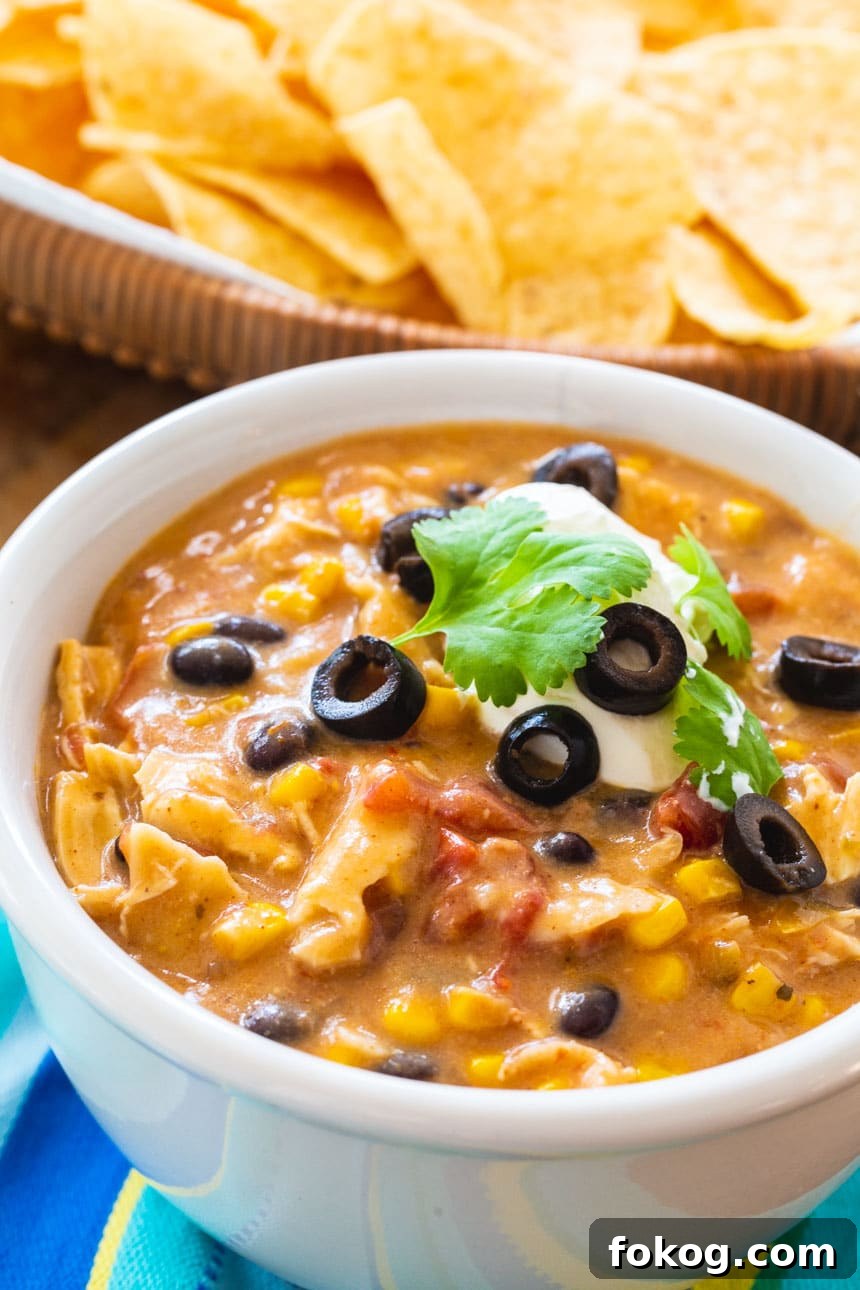 Slow Cooker Chicken Tortilla Soup Recipe for Busy Weeknights 4 Crock Pot Chicken Tortilla Soup