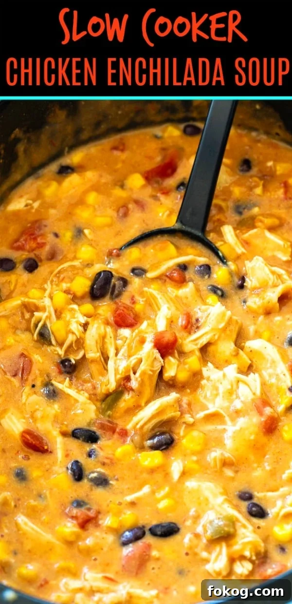 Slow Cooker Chicken Tortilla Soup Recipe for Busy Weeknights 6 Slow Cooker Chicken Enchilada Soup