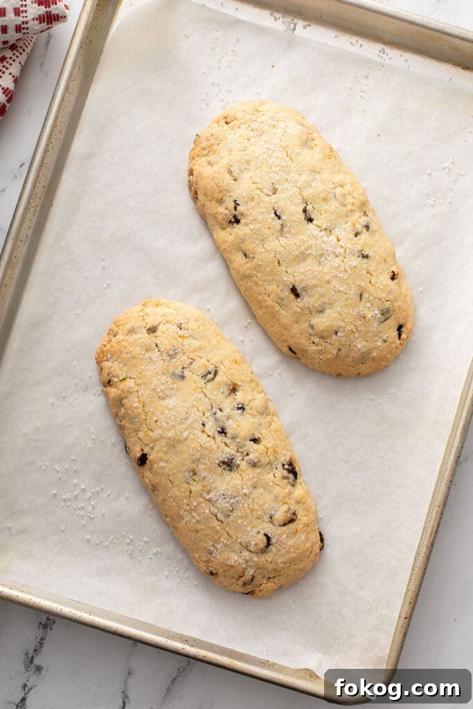Cranberry, Orange & Pistachio Biscotti Recipe 5 baked Biscotti logs on a sheet pan