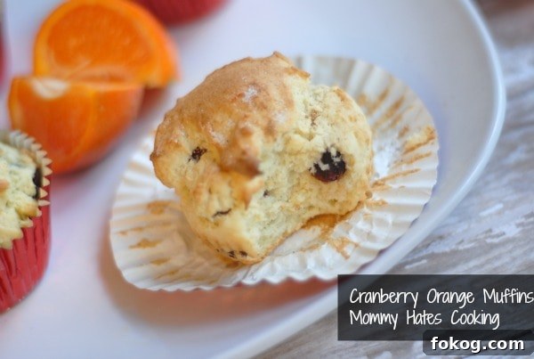 cranberry orange muffins