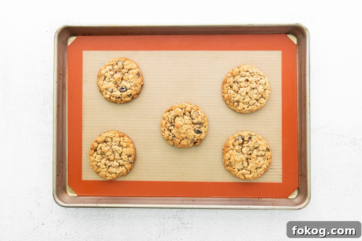 baked oatmeal raisin cookies on a baking tray.