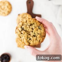 a hand holding an oatmeal raisin cookie.