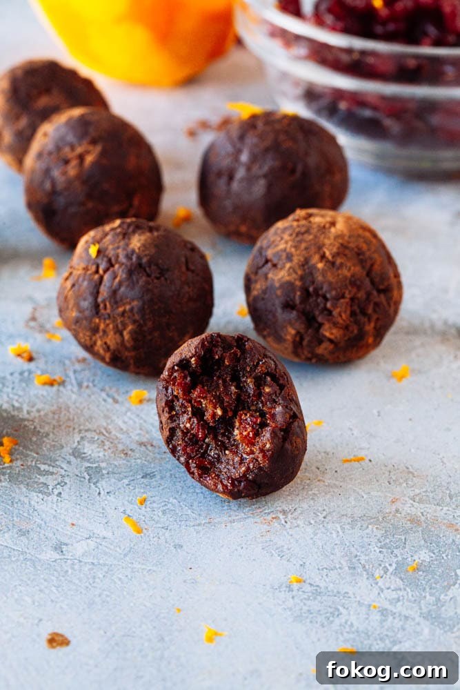 Cranberry Orange Chocolate Hemp Energy Bites 2 Cranberry, Orange & Chocolate Hemp Energy Balls