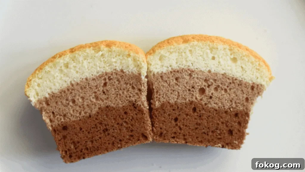 vanilla and chocolate cupcake made without baking powder or baking soda