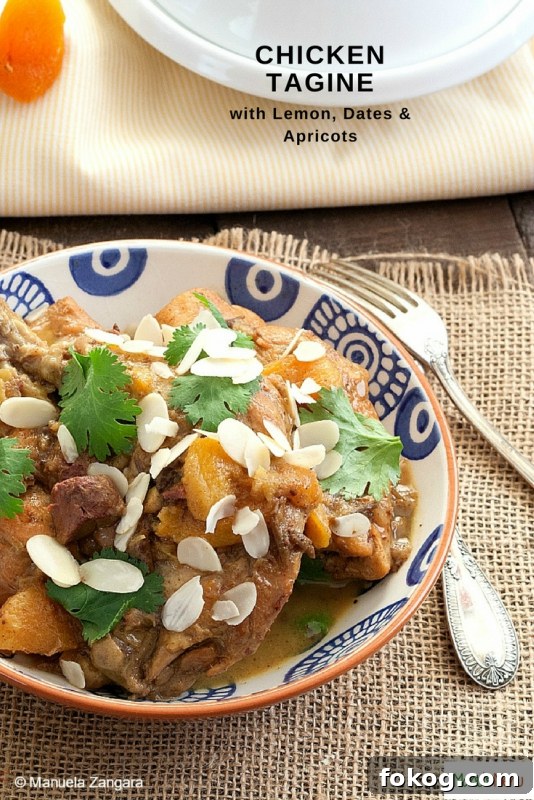 Chicken Tagine with Lemon, Dates, and Apricots