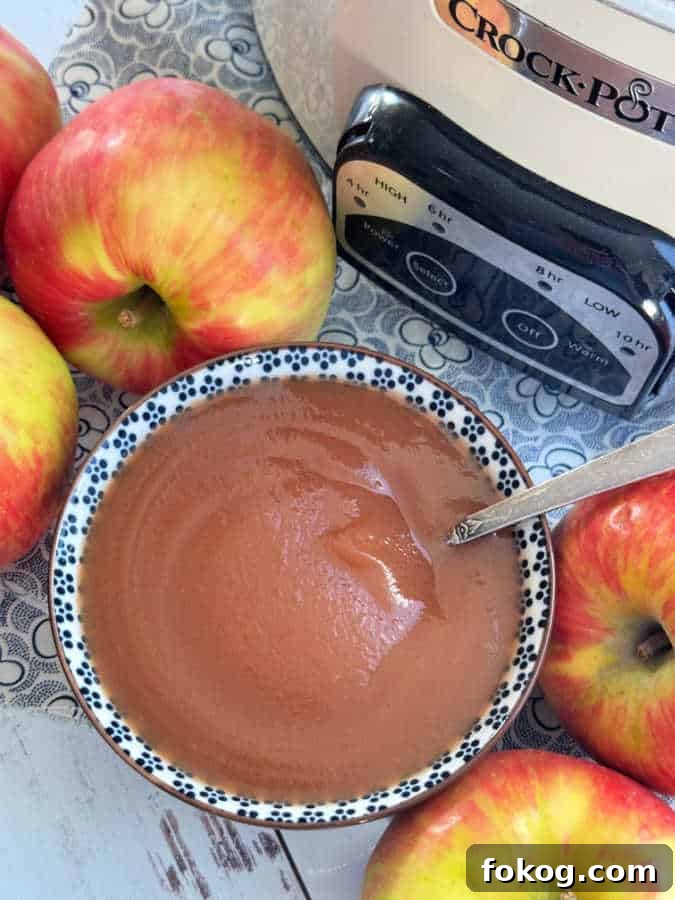 a bowl full of crockpot applesauce sitting in front of the Crock-Pot it was cooked in a surrounded by fresh apples