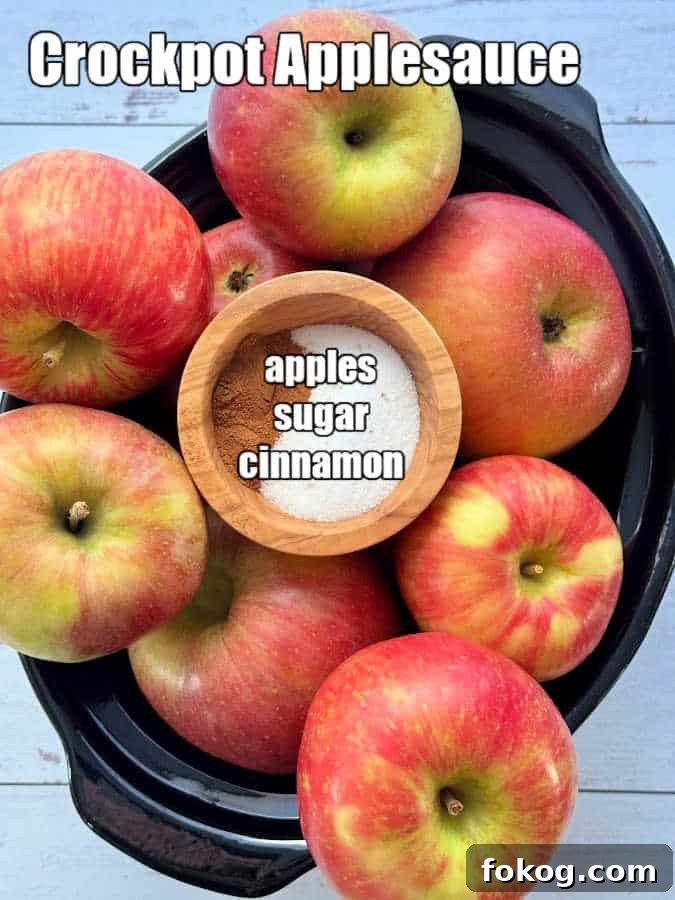 ingredients for making crockpot applesauce