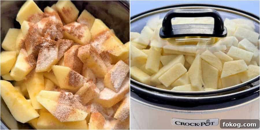 pictures slowing how to make crockpot applesauce