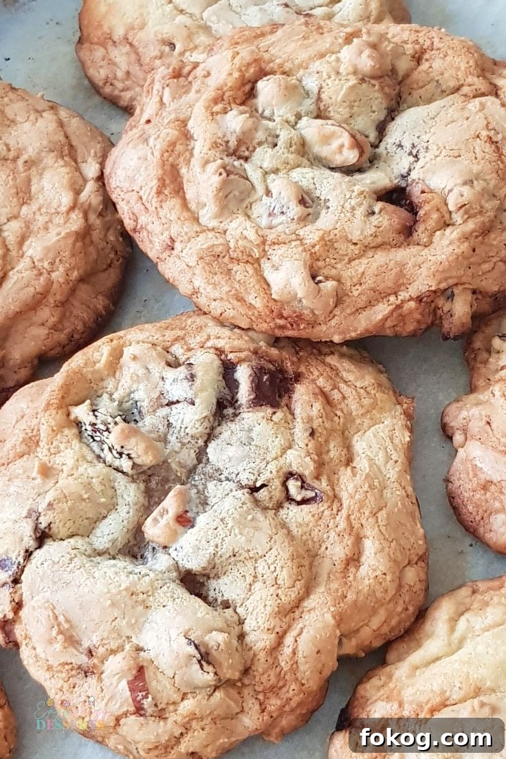 Easy chocolate cookies