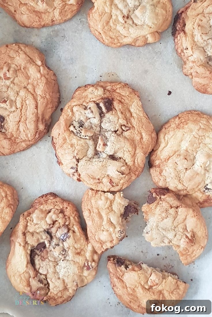 Crispy chocolate cookies