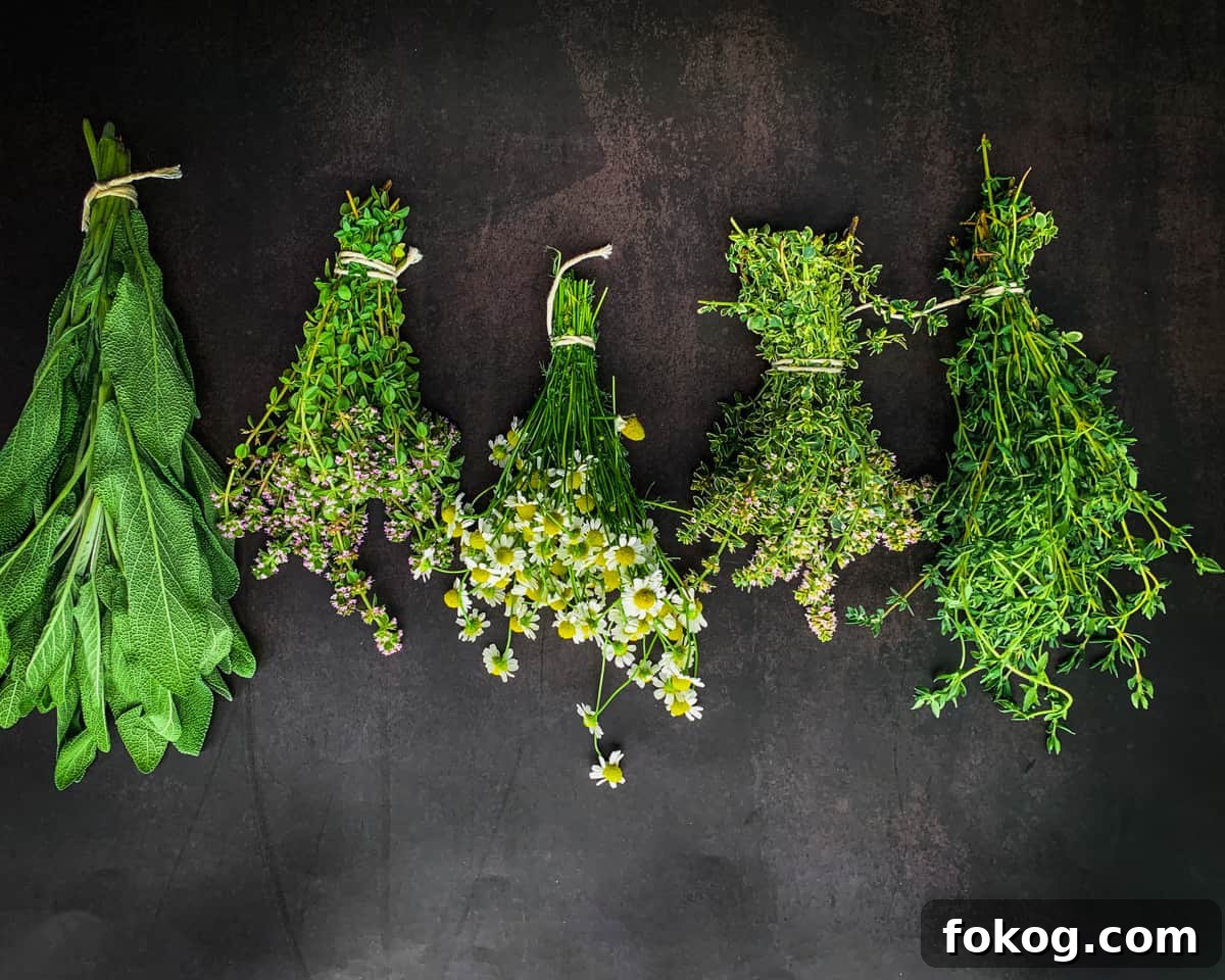 sage, thyme and chamomile in bundles. 