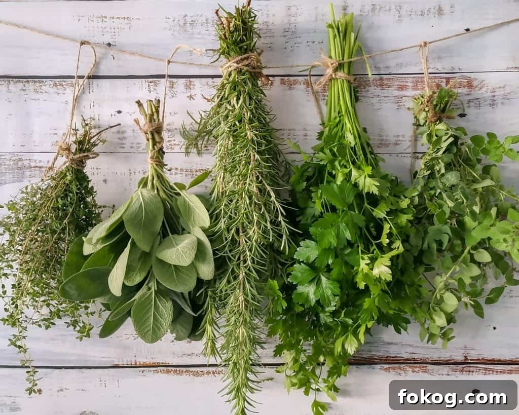 herbs hanging to dry