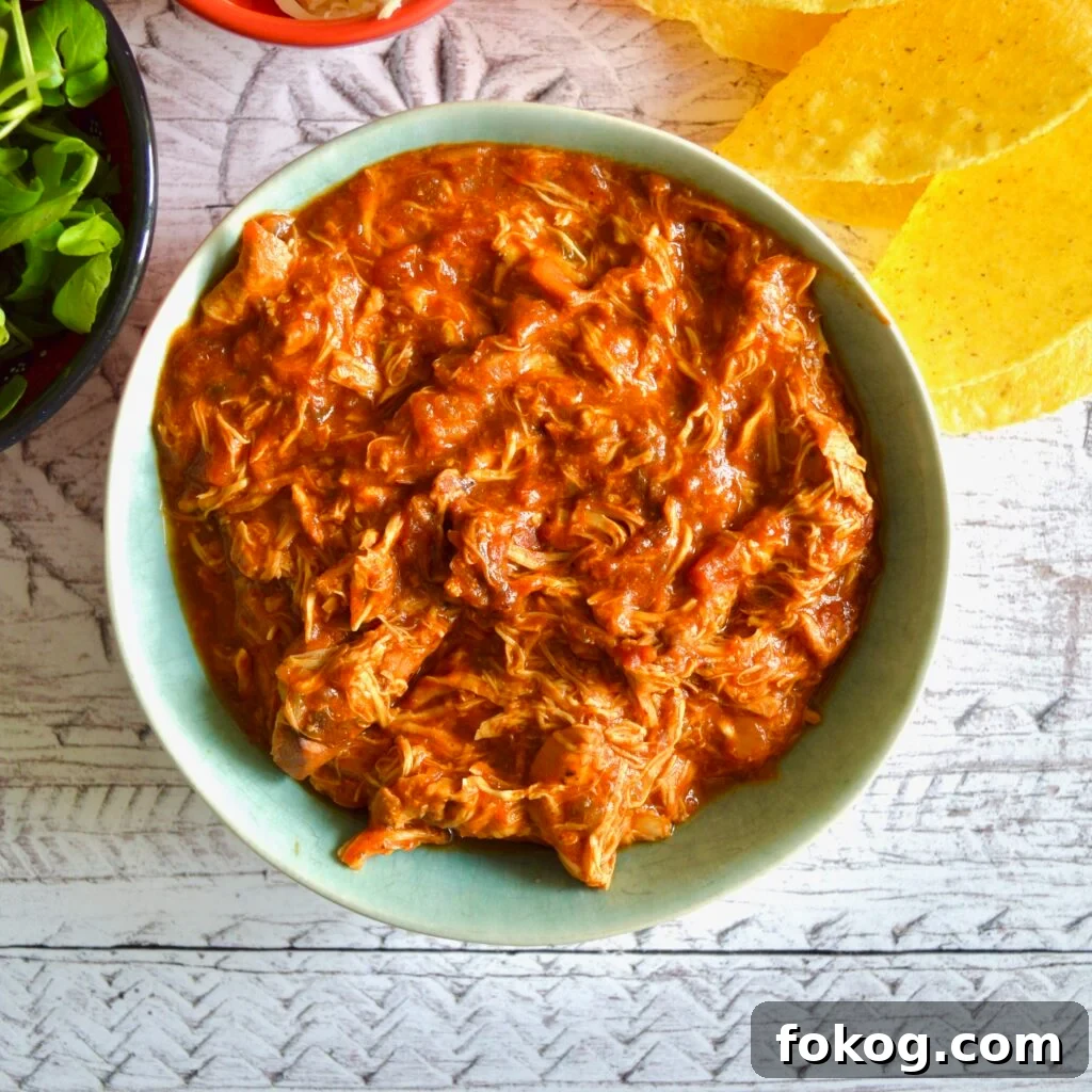 taco chicken