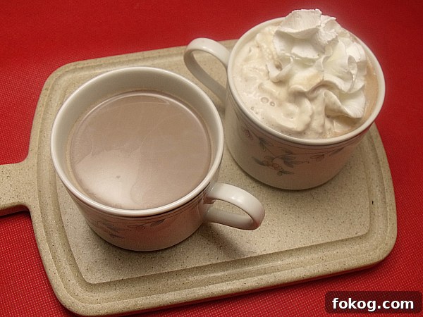 Creamy Vegan Hot Cocoa Recipe for Cozy Winter Nights 2 Vegan Hot Cocoa