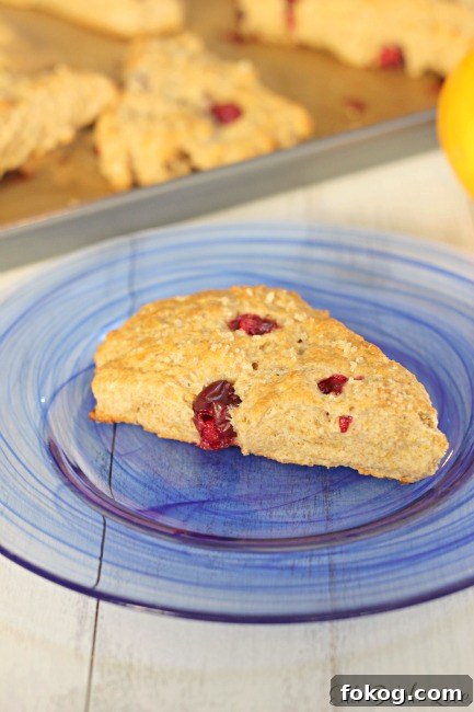 Cranberry Orange Scones Recipe with Zesty Glaze 3 Cranberry Orange Scones