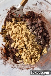 s'mores cookie dough