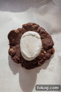 s'mores cookies