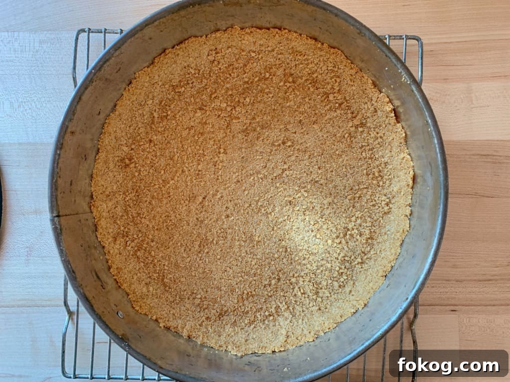 A cookie crust pressed into a springform pan. 