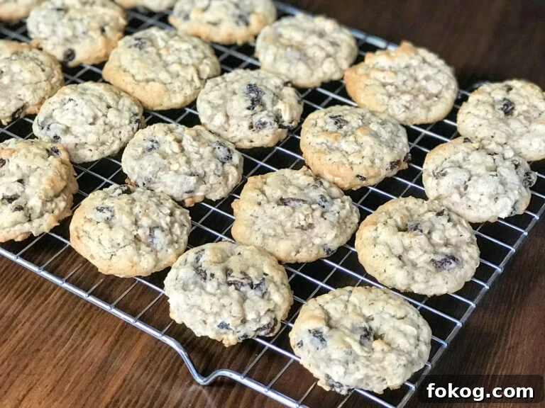 Close up old-fashioned oatmeal raisin cookies on baking rack on a wooden table.