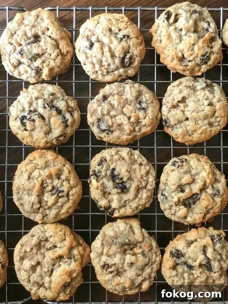 Chewy and hearty with a hint of sweet in every juicy raisin in Old Fashioned Oatmeal Cookies recipe that are cooling in a single layer on a baking rack.