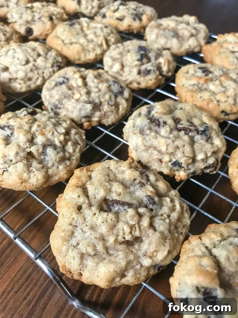 Close up old-fashioned oatmeal cookies on cooling rack.
