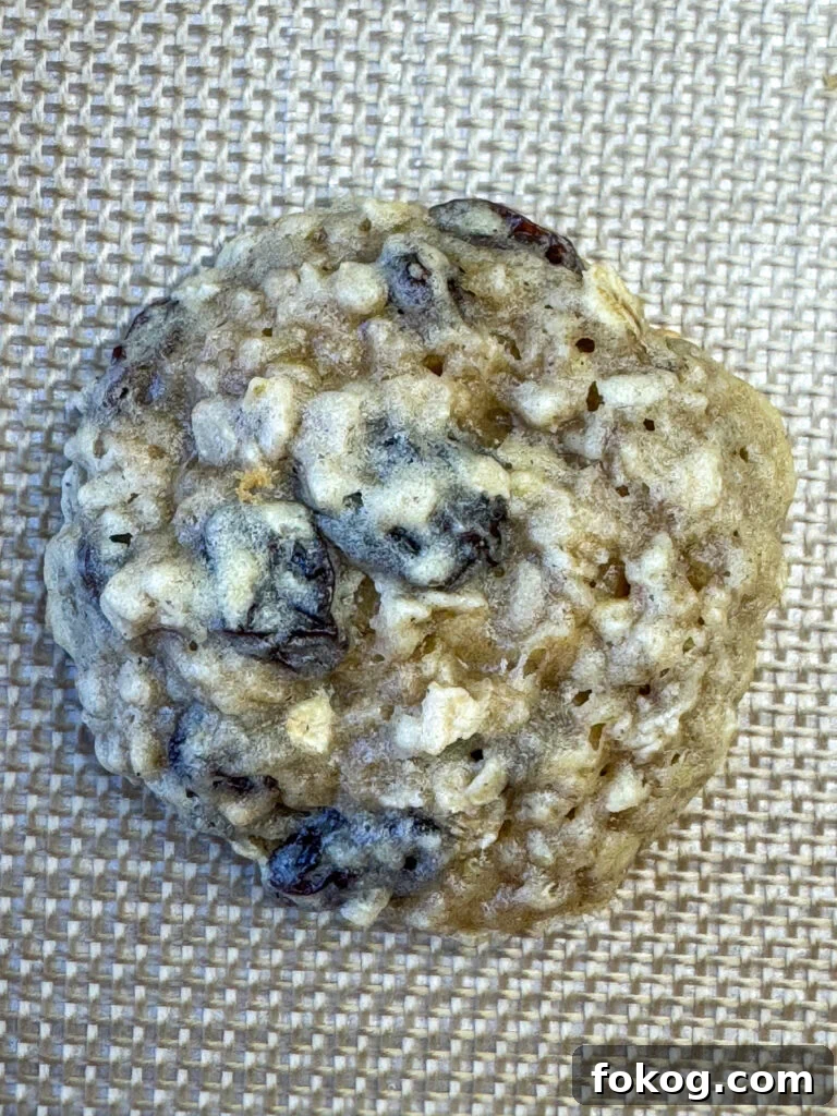 Overhead view of a classic single oatmeal cookie on a beige non-stick liner.