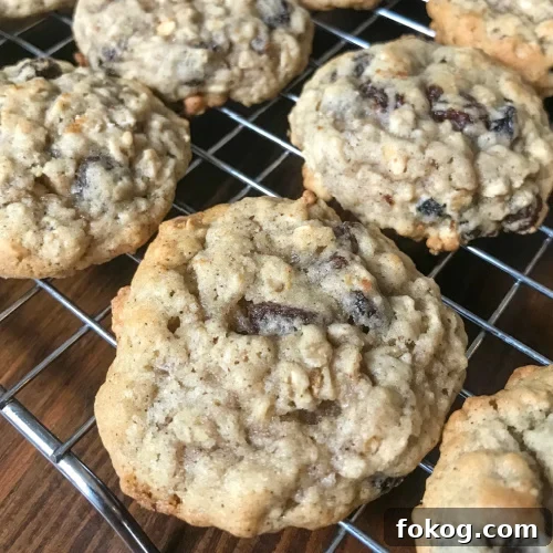 Lightly golden brown edges on freshly baked oat cookies on a wire cooling rack.