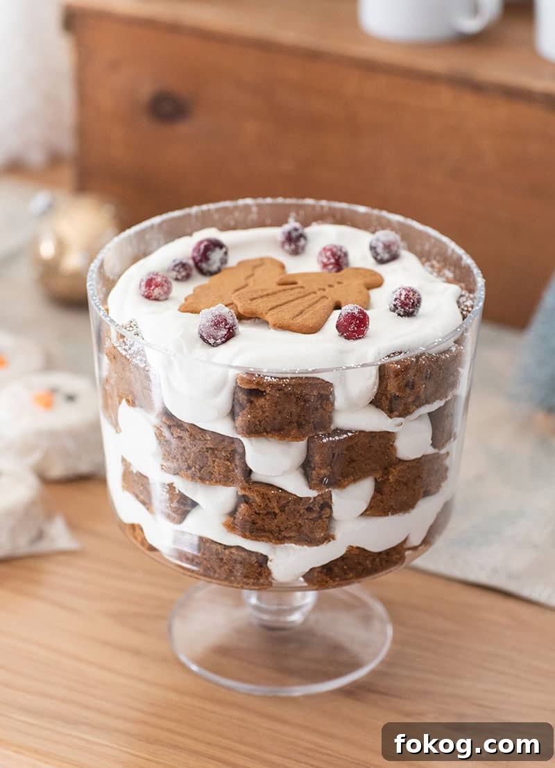 Gingerbread trifle with whipped cream and cookies. 