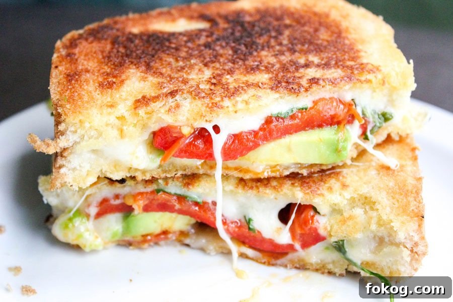 Avocado Bacon Gourmet Grilled Cheese Sandwich Avocado Bacon Gourmet Grilled Cheese Sandwich