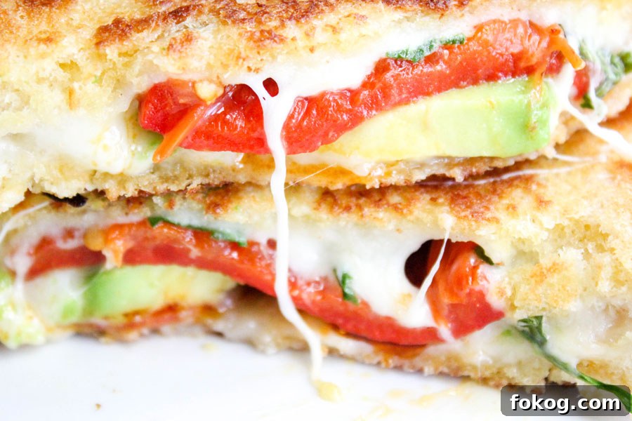 Avocado Bacon Gourmet Grilled Cheese Sandwich Avocado Bacon Gourmet Grilled Cheese Sandwich