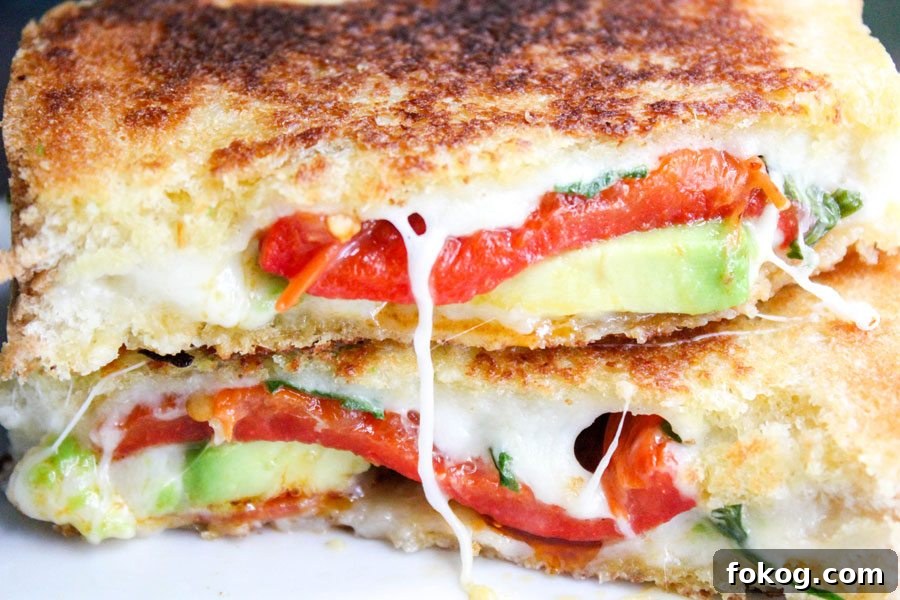 Avocado Bacon Gourmet Grilled Cheese Sandwich Avocado Bacon Gourmet Grilled Cheese Sandwich