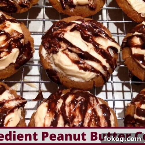 3-Ingredient Peanut Butter Cookies (Nut-Free Options Included) 2 Keto Peanut Butter Cookies